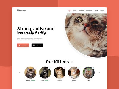 Web Site for the cattery cat cats desktop ui web design website