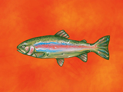 Trout Fishing illustration