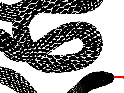 Tight Crop On Snake Illustration