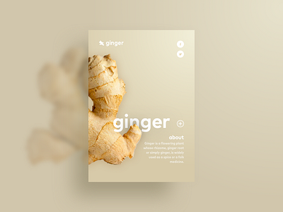 Simple Ginger busines card card crypto currency depth depth of field ecomerce food food art ginger gold landing page minimal recipe recipe card sand shaddow simple ui ux web