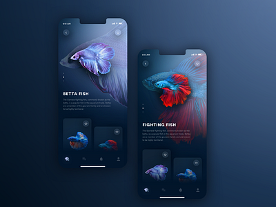 Just Some Fish app branding card coloful crypto dark depth feed fish gallery gradient grid header landing page minimal app mobile app design shadow simple web website