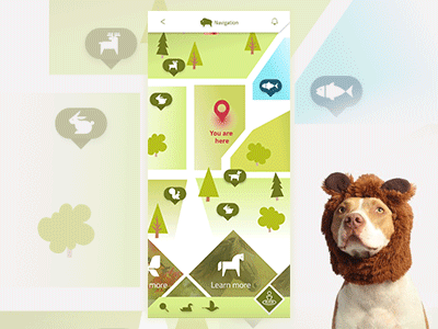 Animal tracking App