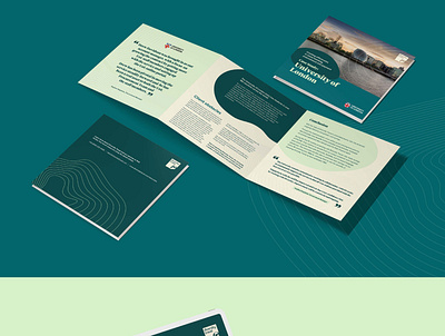 Leaflet design design graphic design illustration vector
