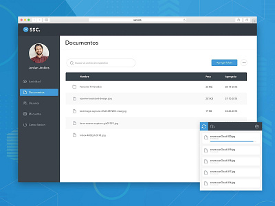 SSC Platform classify dashboard documents