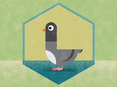 Homing Pigeon icon pigeon texture vector