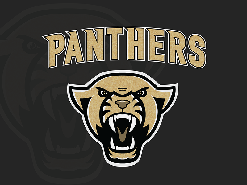 Panthers Logo by Landon Oliver on Dribbble