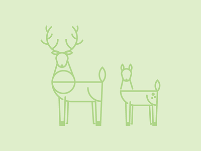 Deers animals illustration