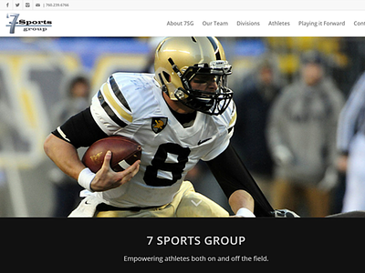 7 Sports Group web design web development wordpress