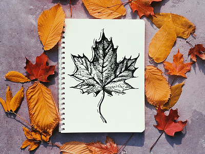 It's Fall! and autumn drawing fall ink leaf leaves pen