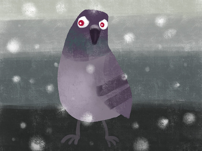 Angry Pigeon anger angry animal bird blue city pigeon purple snow urban wildlife
