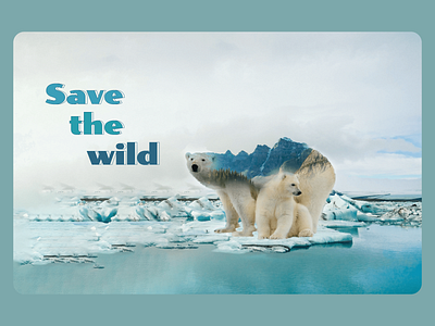 Save The Wild illustration photoshop typography ui vector web webdesign