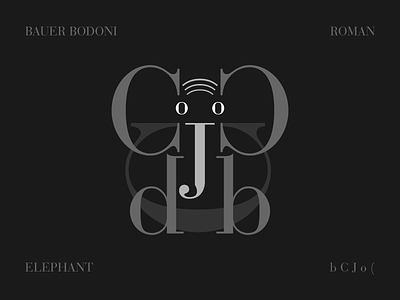 Bauer Bodoni Elephant bauer bodoni bodoni character elephant roman simmetry typography