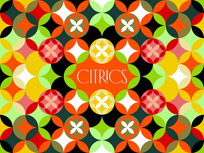 Citrics Grid citric drink flower grapefruit grid illustration lemon lime nature orange pattern