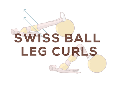 Swiss Ball Leg Curls hamstring illustration knee pain