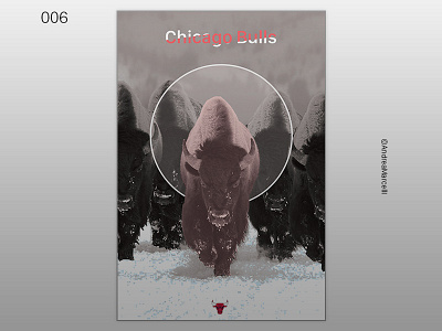Chicago Bulls - Poster chiacagobulls design poster