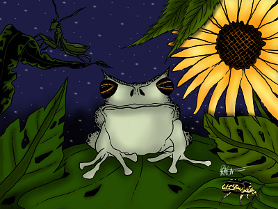 Frog animals flower frog graphic design illustration leaves nature night wildlife
