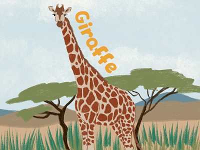 Giraffe animals drawing giraffe graphic design illustration mammals wildlife