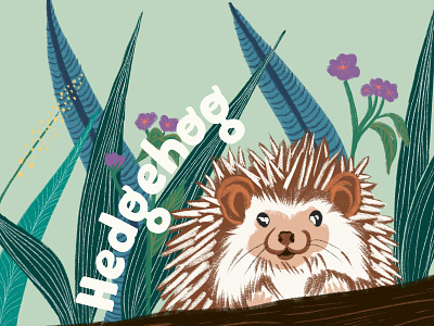 Hedgehog animals drawing graphic design illustration nature wildlife