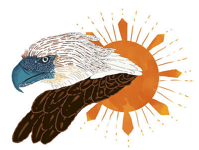 Aguila aguila animals birds drawing eagle graphic design illustration philippine eagle wildlife