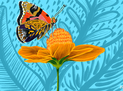Butterfly animals butterfly drawing flower graphic design illustration wildlife