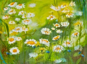 Meadow With Daisies colorful daisie flora flower green illustration summer white