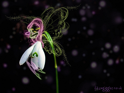 Spring Fairy fairy flower illustration snowdrop spring