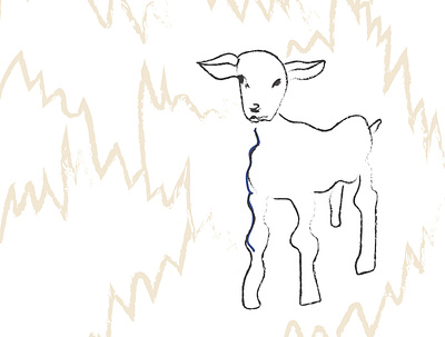 lamb illustration