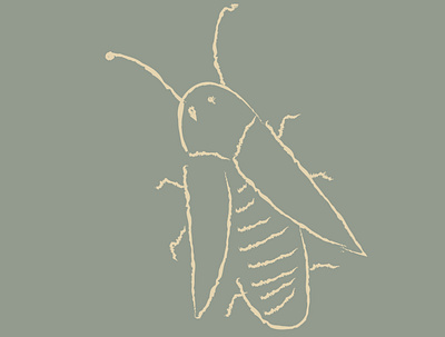 roach illustration
