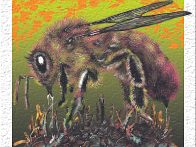 Dirty Bee - Illustration