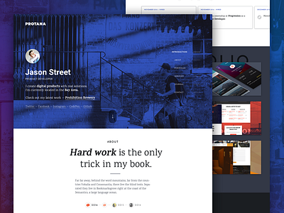 Protana - A Portfolio For Developers