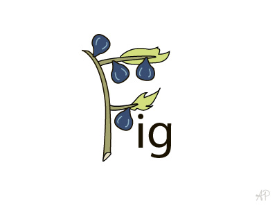 F is for Fig art f fig figs fruit fruityalphabet illustration letter vector