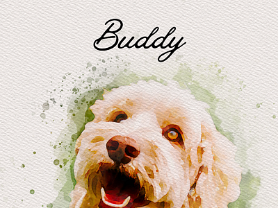 Pet Portrait - Buddy app branding design graphic design illustration logo typography ui ux vector