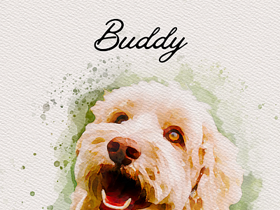 Pet Portrait - Buddy