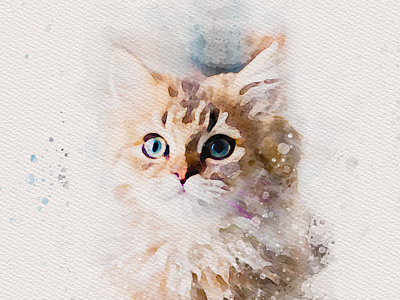 Pet Portrait - Missy