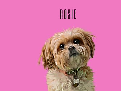 Custom Created Cartoon Effect Pet Portrait: Rosie