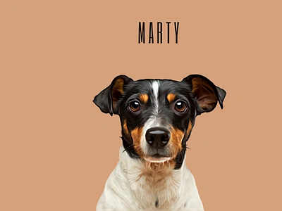 Custom Created Cartoon Effect Pet Portrait: Marty 3d app branding design graphic design illustration logo motion graphics typography ui ux vector