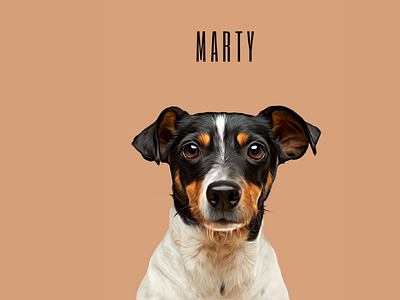 Custom Created Cartoon Effect Pet Portrait: Marty 3d app branding design graphic design illustration logo motion graphics typography ui ux vector