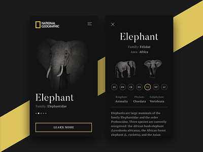 National Geographic App Concept
