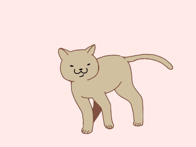 Chunky kitty british shorthair cat gif ginger