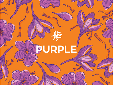 Purple branding design graphic design logo