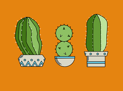 Cacti, Party of Three cacti cactus design illustration