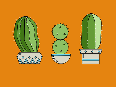 Cacti, Party of Three