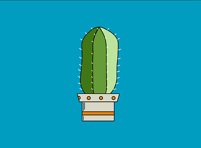 Cactus cacti cactus design illustration