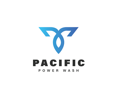 Pacific Power Wash branding graphic design logo