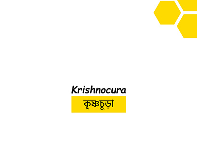Krishnocura Branding bannar brand branding flyer graphic design logo logo design poster
