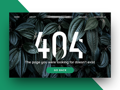 404 Error Page