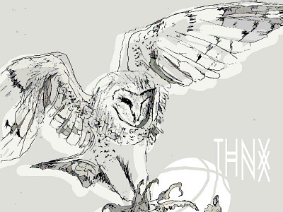 THNX DRIBBBLE barnowl basketball debut illustration thnx
