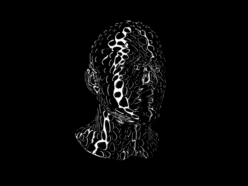 Voronoi Mesh 4d abstract black and white cinema future head identity interaction kinect mapping math vrn dribbble sd