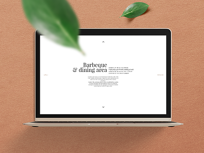 Web typography typography webdesign website