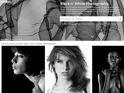 Black and White Photography black white design images photography photos pictures